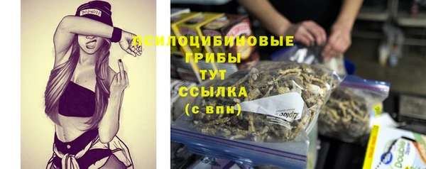 СК Волосово