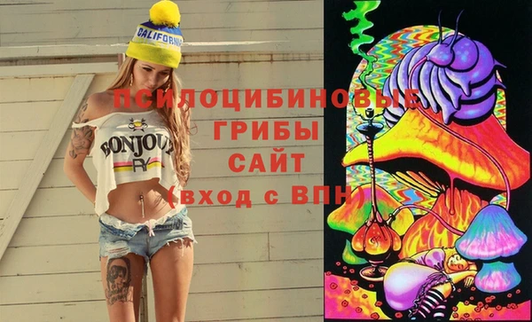 СК Волосово