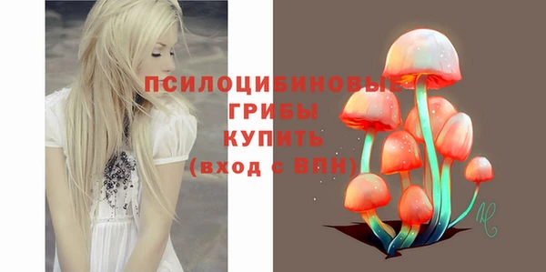 прущий лед Володарск