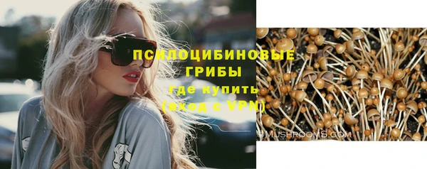 СК Волосово