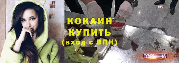 СК Волосово